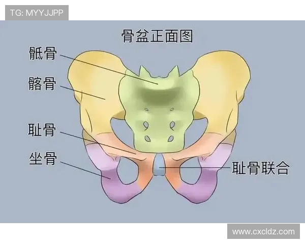 耻骨痛困扰亚马尔致运动能力下降一半远离巅峰状态令人担忧